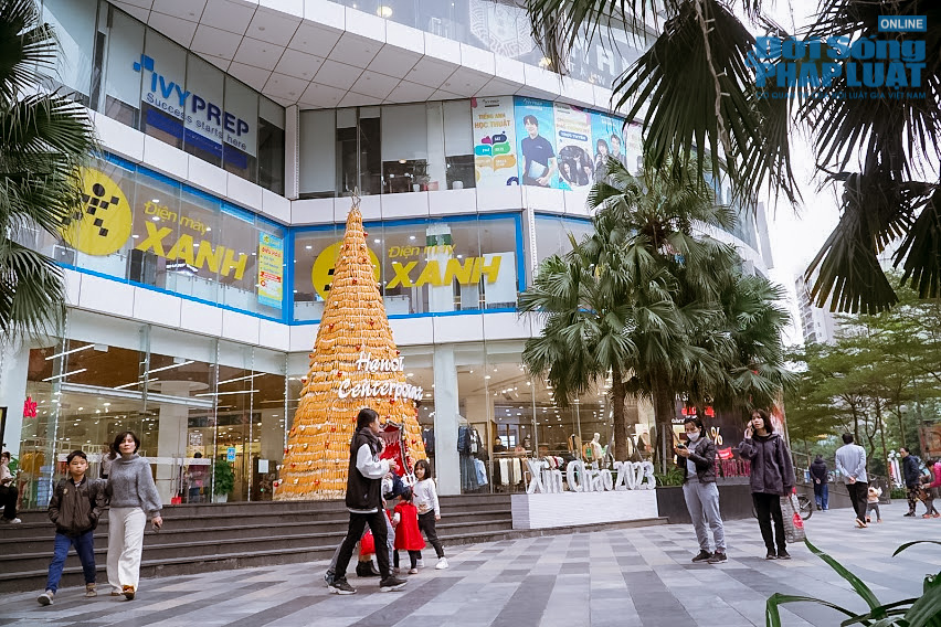 ngam nhin cay thong noel doc nhat vo nhi duoc lam tu 8 000 bap ngo tai ha noi12 ngam nhin cay thong noel doc nhat vo nhi duoc lam tu 8 000 bap ngo tai ha noi12