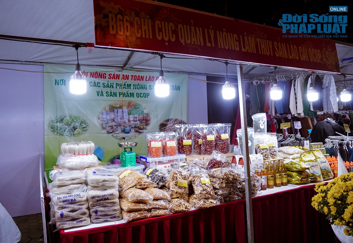 khai truong khong gian pho di bo tran nhan tong 6