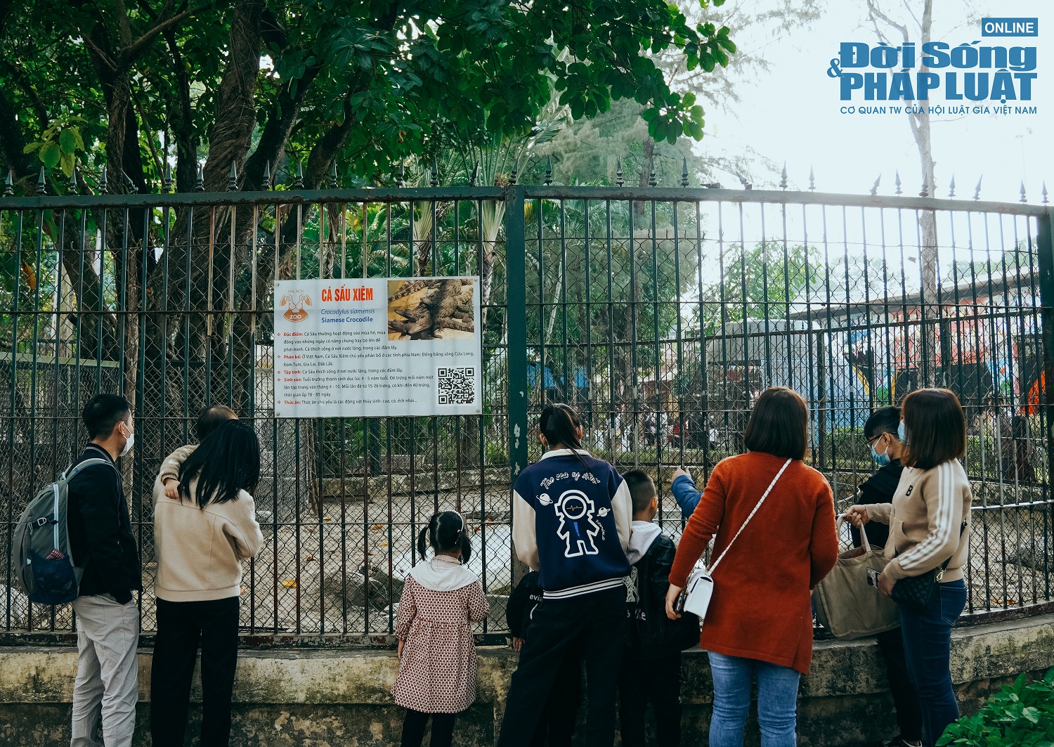 nguoi dan keo nhau den vuon thu ha noi dip tet nguyen dan 8 nguoi dan keo nhau den vuon thu ha noi dip tet nguyen dan 8