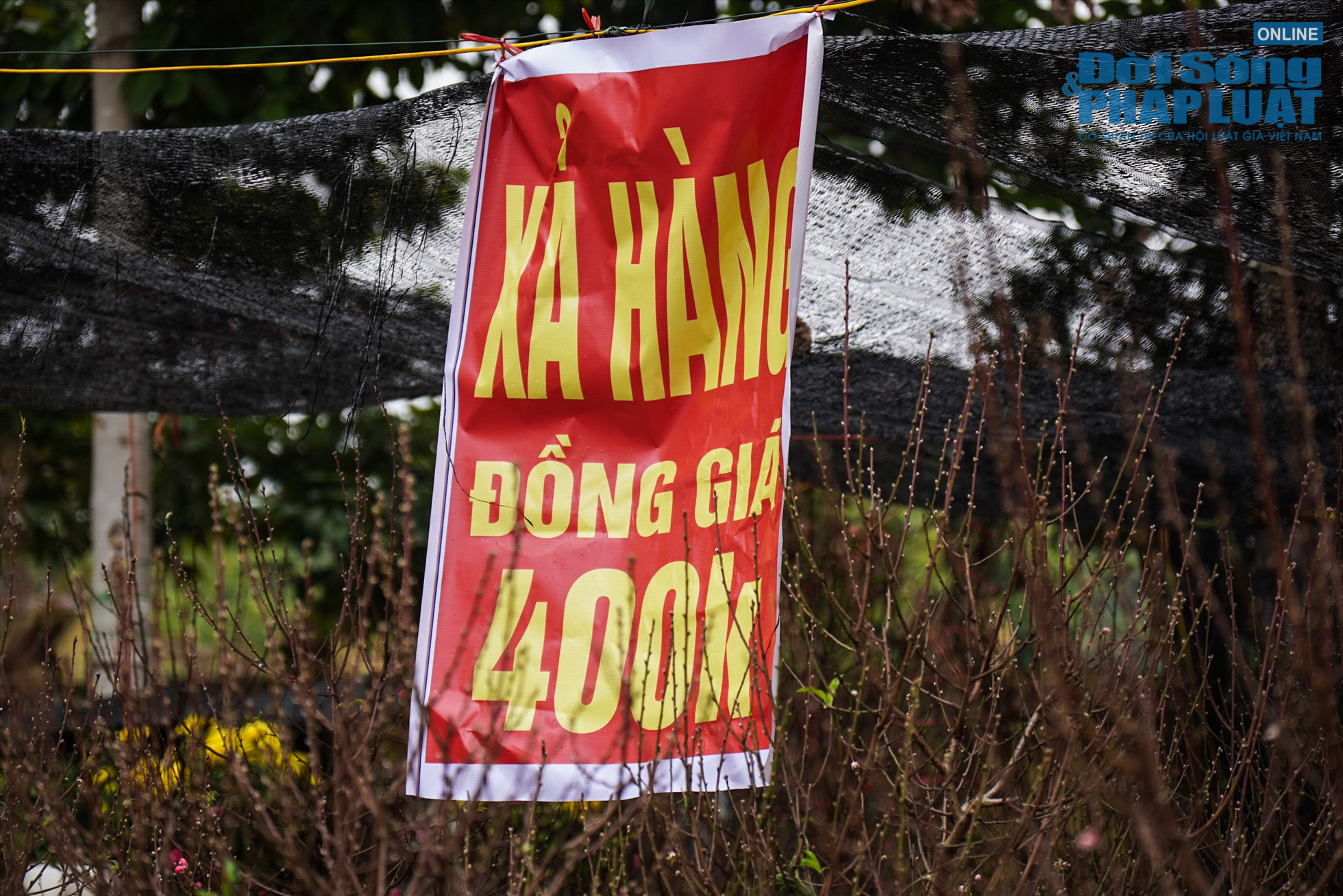 cho hoa giam gia ngay 30 et 10 cho hoa giam gia ngay 30 et 10