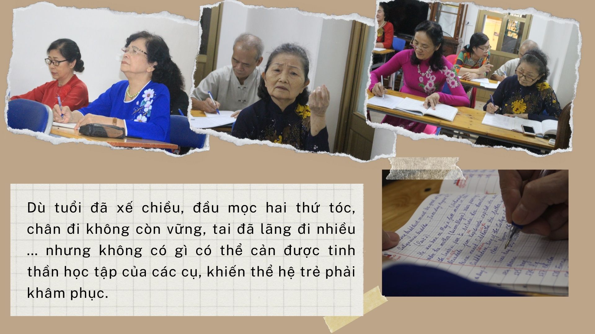 lop hoc tieng anh vo long cua cac cu u80 co gi dac biet1 lop hoc tieng anh vo long cua cac cu u80 co gi dac biet1