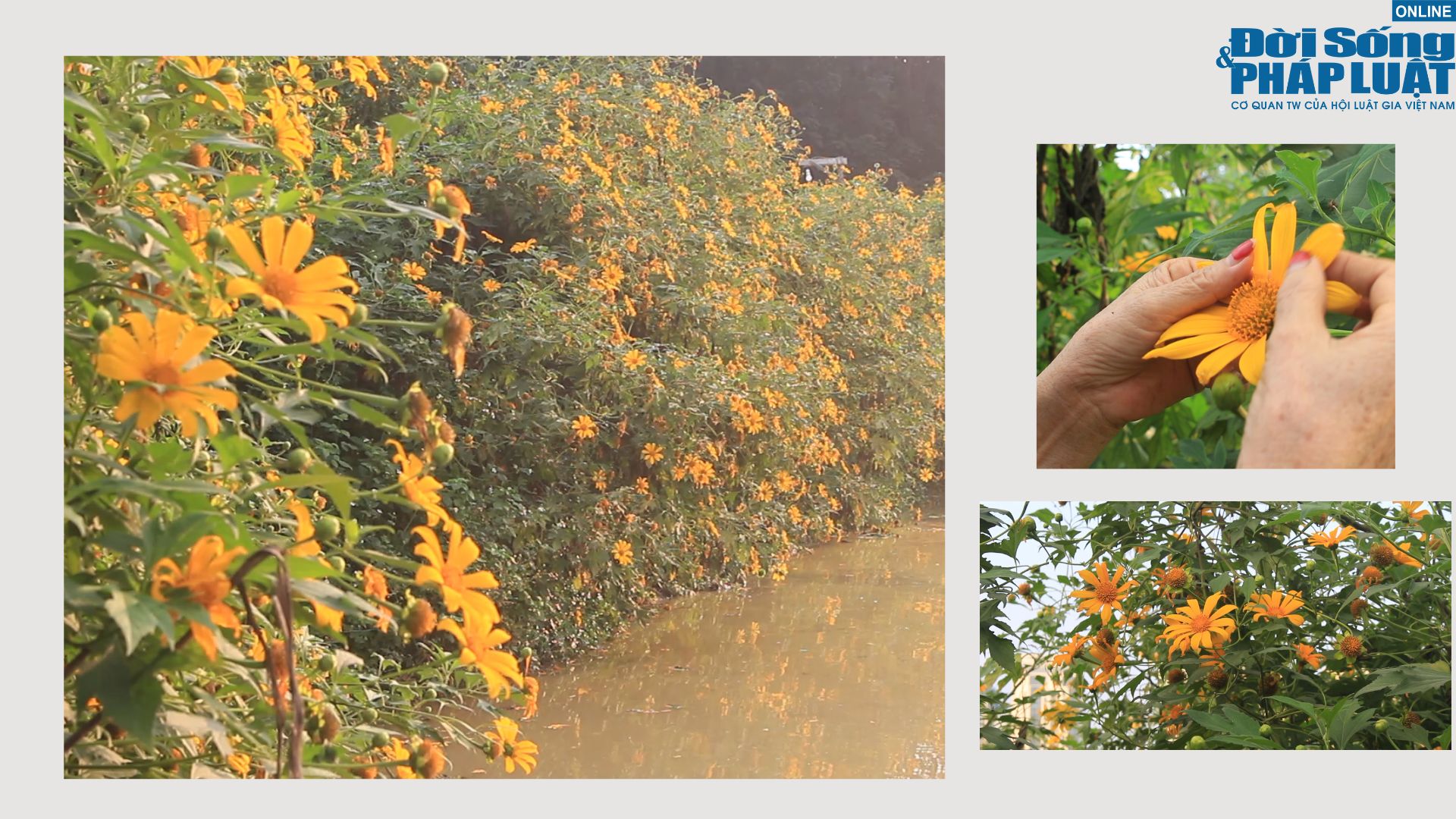 thiet ke chua co ten