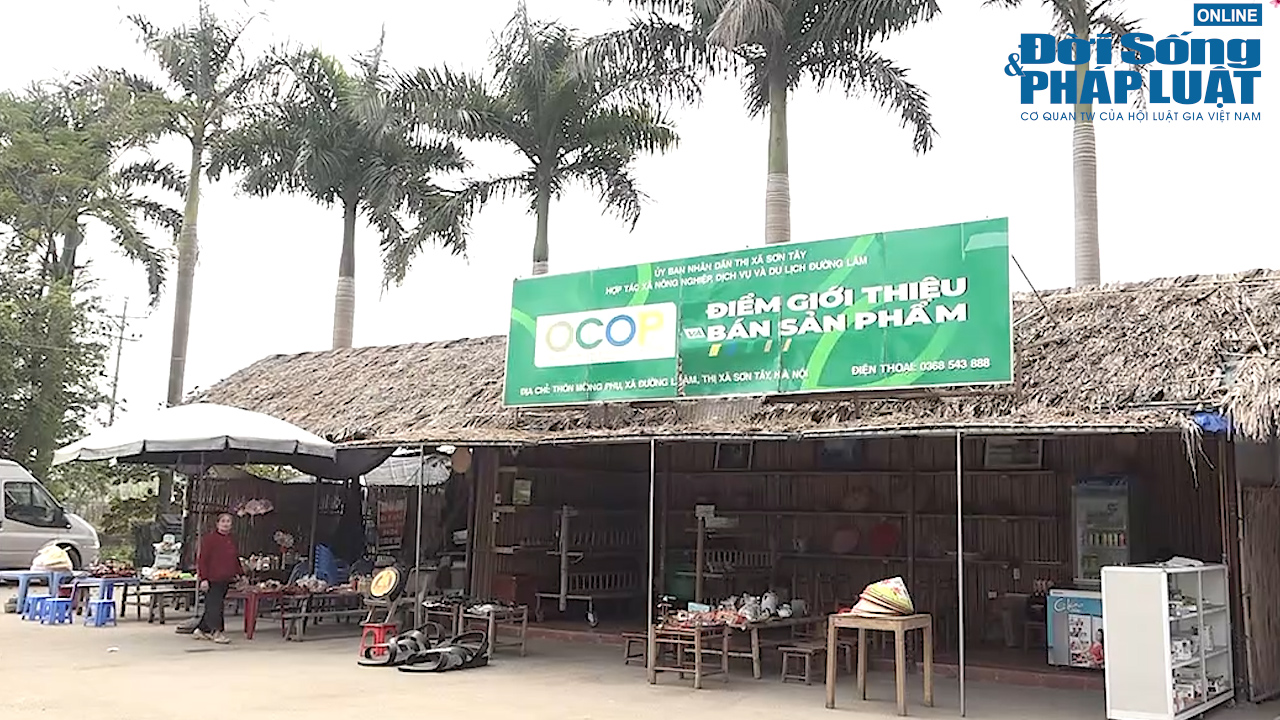 san pham ocop dspl21