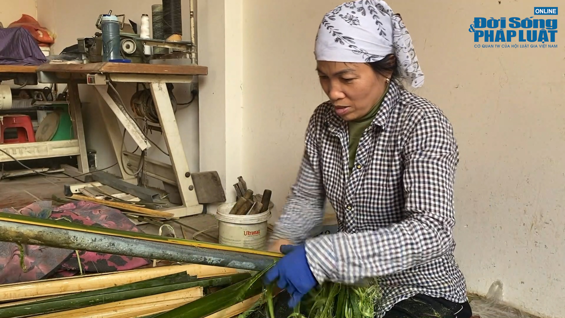 huong dspl00011610still014 huong dspl00011610still014