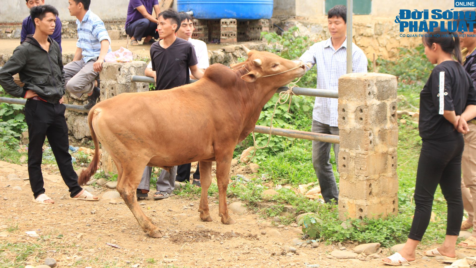 kham pha cho bo luong thong diem den dac biet cua vung bien cao bang 2 kham pha cho bo luong thong diem den dac biet cua vung bien cao bang 2
