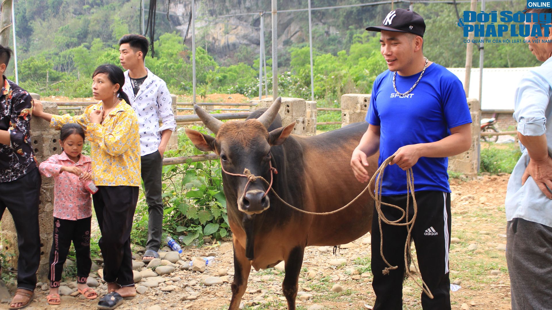 kham pha cho bo luong thong diem den dac biet cua vung bien cao bangt7 kham pha cho bo luong thong diem den dac biet cua vung bien cao bangt7