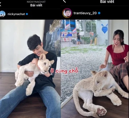 ro tin hoa hau tieu vy hen ho voi my nam thai lan 4 ro tin hoa hau tieu vy hen ho voi my nam thai lan 4