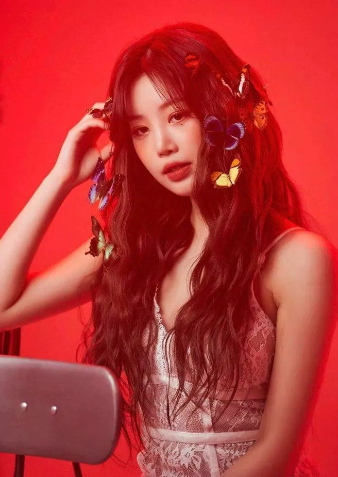 anyconvcomsoojin anyconvcomsoojin