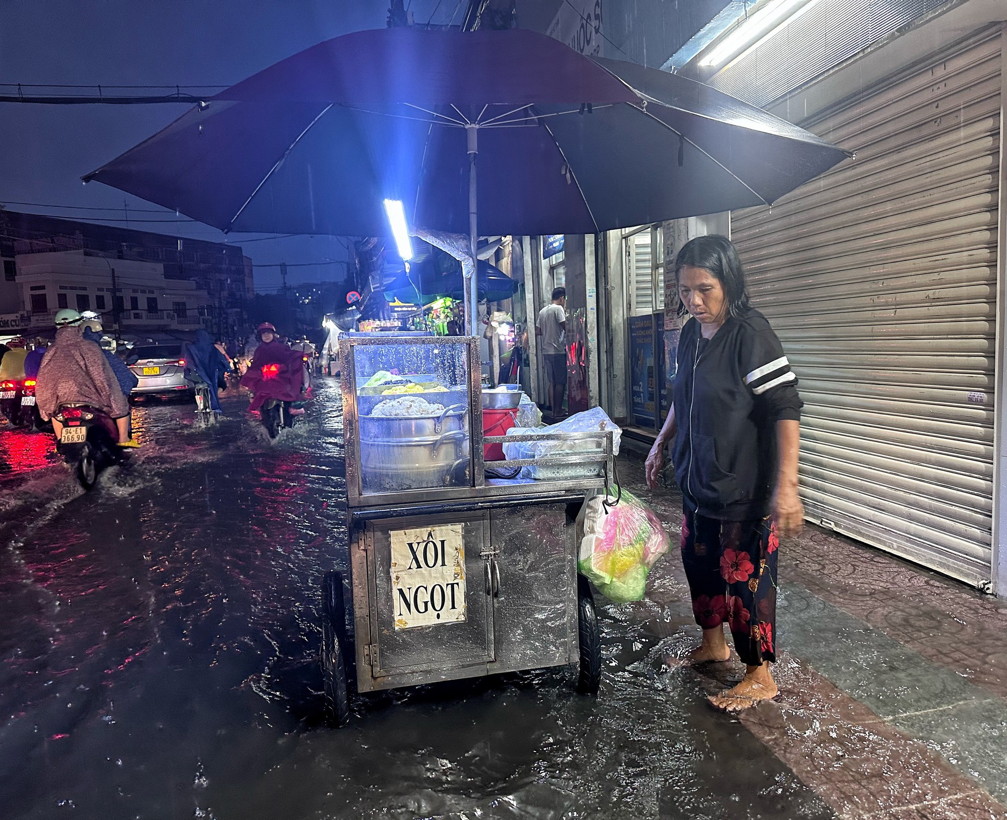 cay do duong pho ngap nuoc sau con mua lon o tphcm 11 cay do duong pho ngap nuoc sau con mua lon o tphcm 11