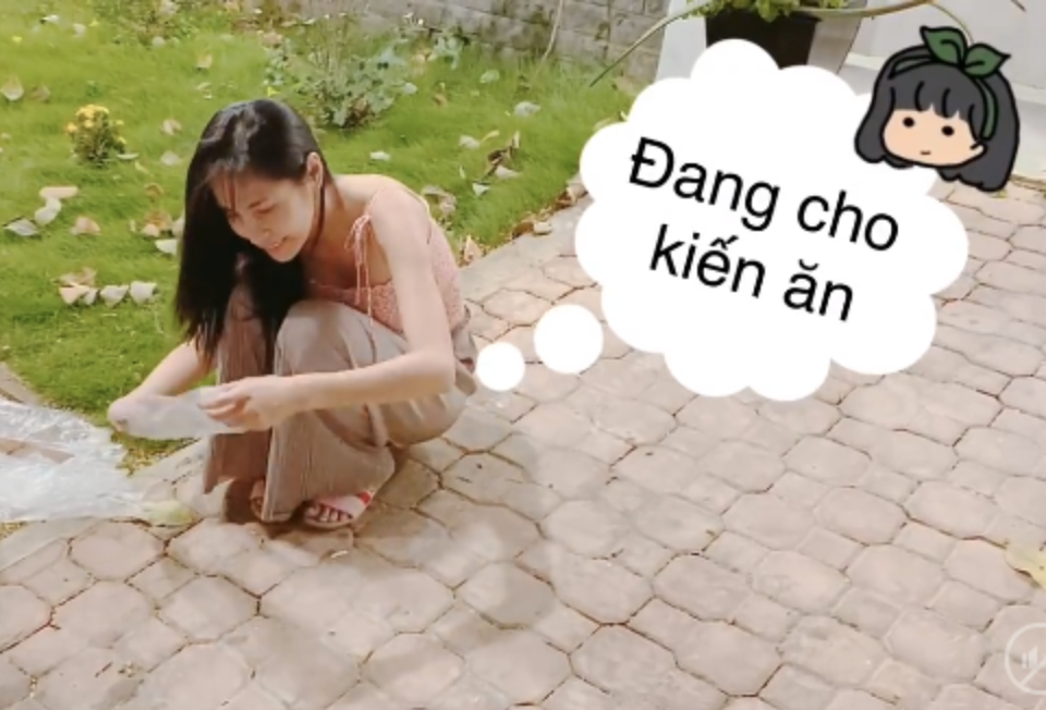 thuy tien cho kien an thuy tien cho kien an
