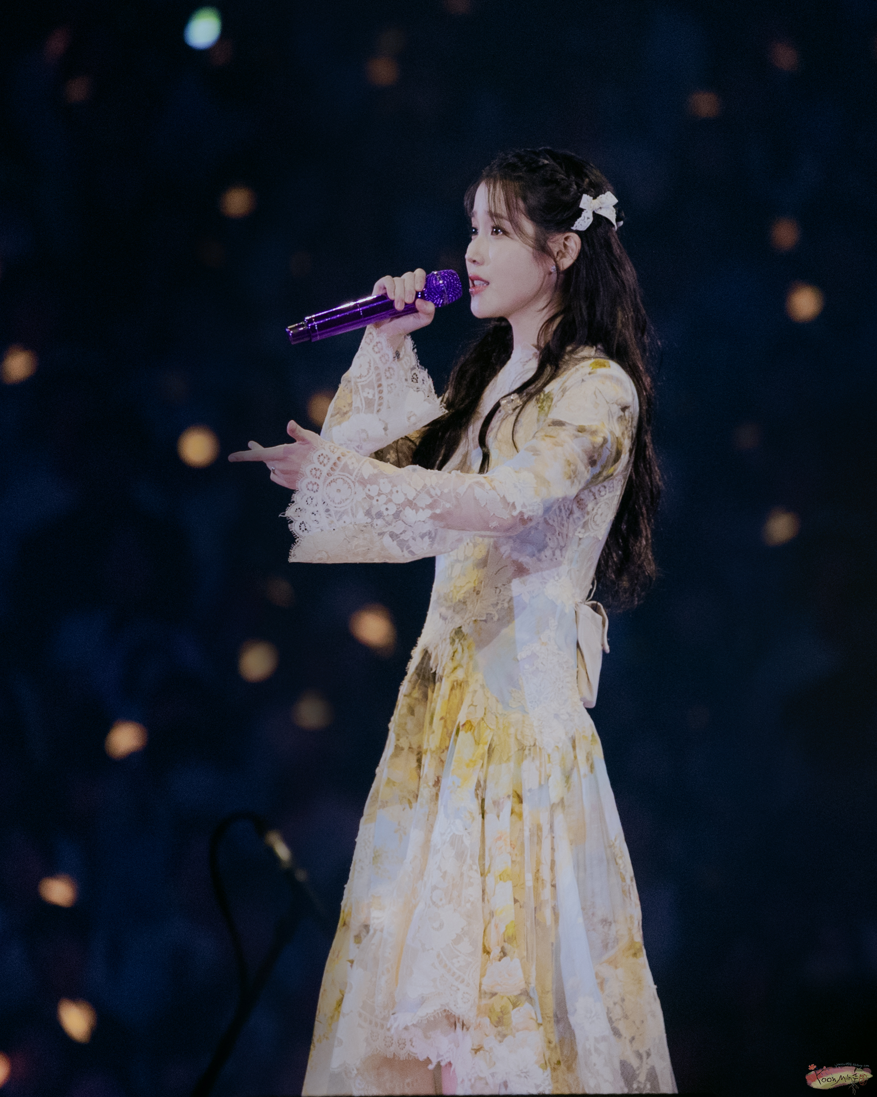 iu concert iu concert