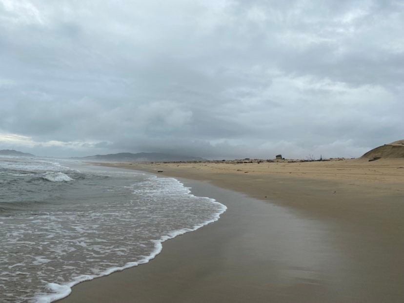 bat dong san bien quy nhon bat dong san bien quy nhon