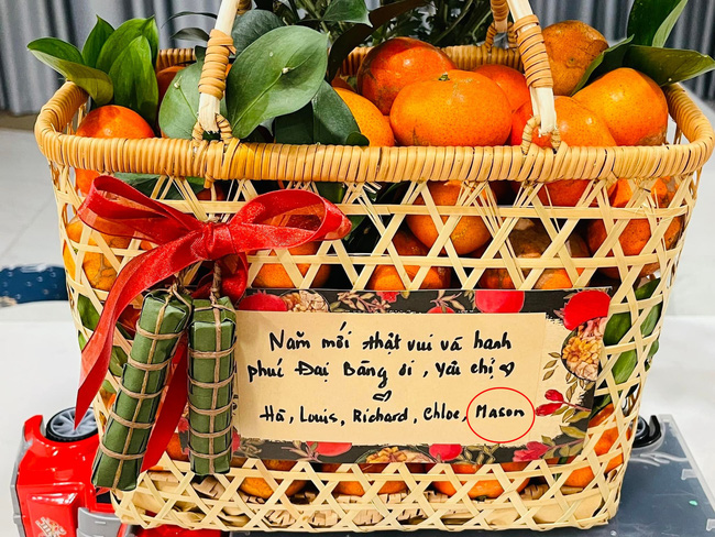 he lo ten cua nhoc ty moi sinh nha tang thanh ha dan mang to mo dung mao quy tu hao mon 1 he lo ten cua nhoc ty moi sinh nha tang thanh ha dan mang to mo dung mao quy tu hao mon 1
