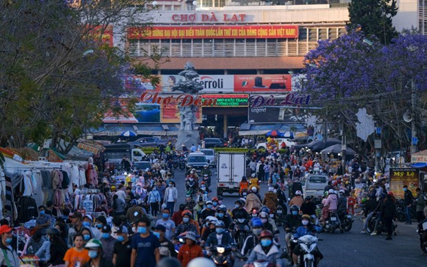 lam dong cho phep cho dem da lat hoat dong tro lai tu ngay 291