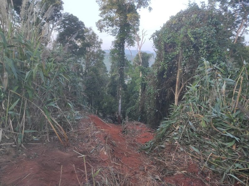 vu tai nan giao thong tham khoc o gia lai danh tinh 6 nan nhan tu vong vu tai nan giao thong tham khoc o gia lai danh tinh 6 nan nhan tu vong