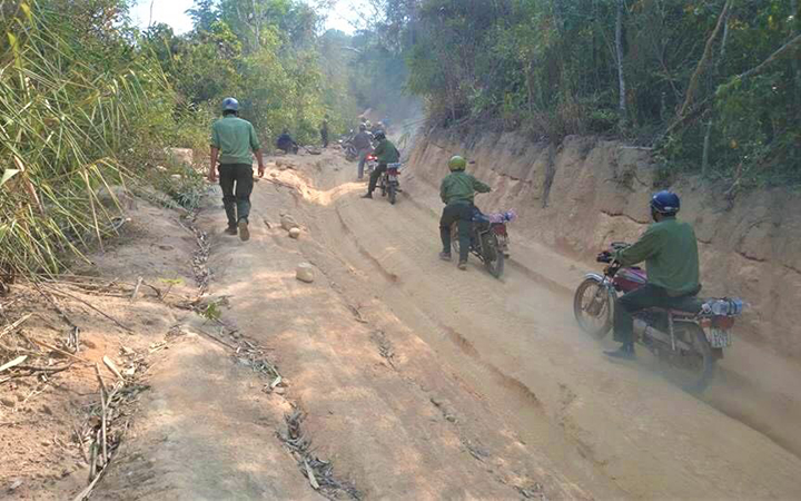 bat qua tang nhan vien bao ve rung nhan hoi lo cua lam tac bat qua tang nhan vien bao ve rung nhan hoi lo cua lam tac