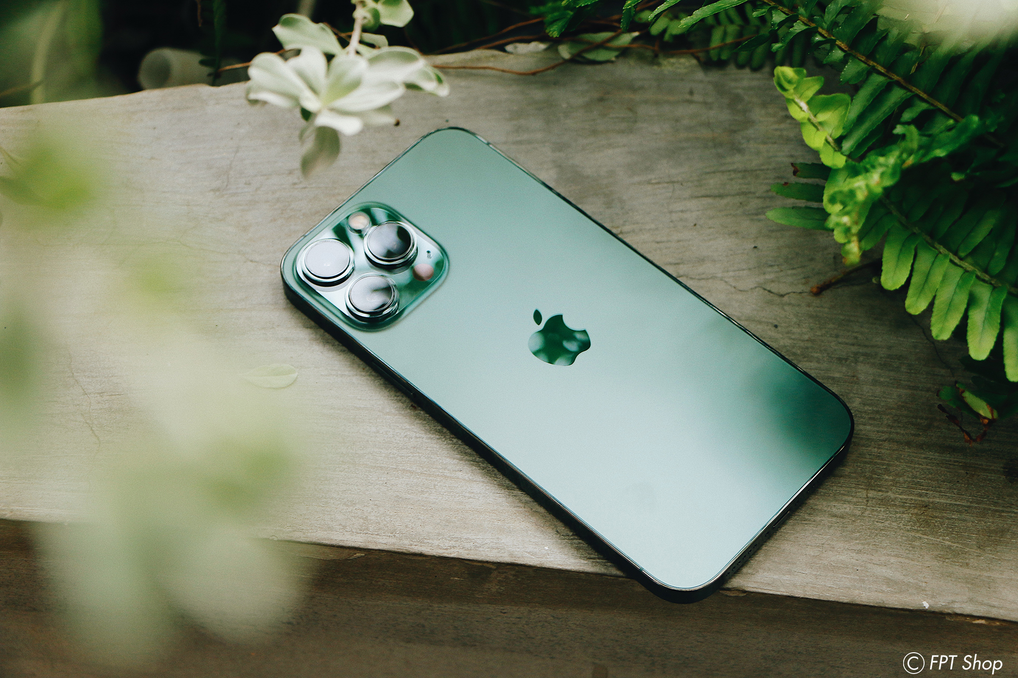 iphone 13 promax alpine green 9 iphone 13 promax alpine green 9