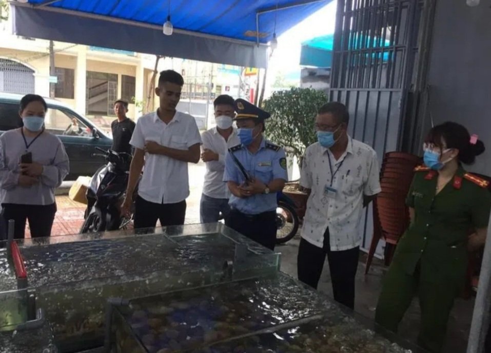 vu quan co suong o nha trang bi to chat chem chuyen cong an lam ro vu quan co suong o nha trang bi to chat chem chuyen cong an lam ro