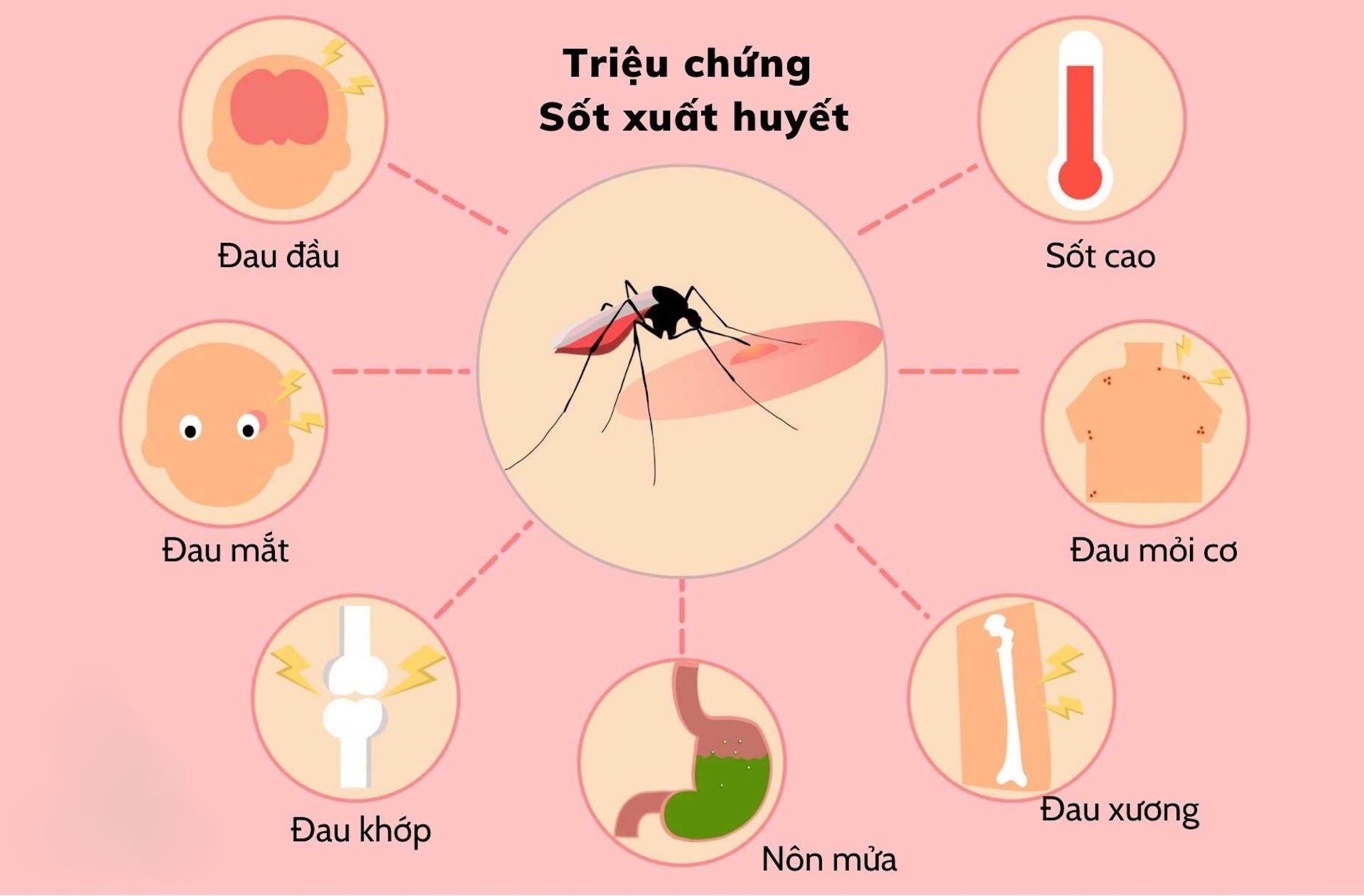 so ca mac sot xuat huyet tang manh 30 truong hop tu vong