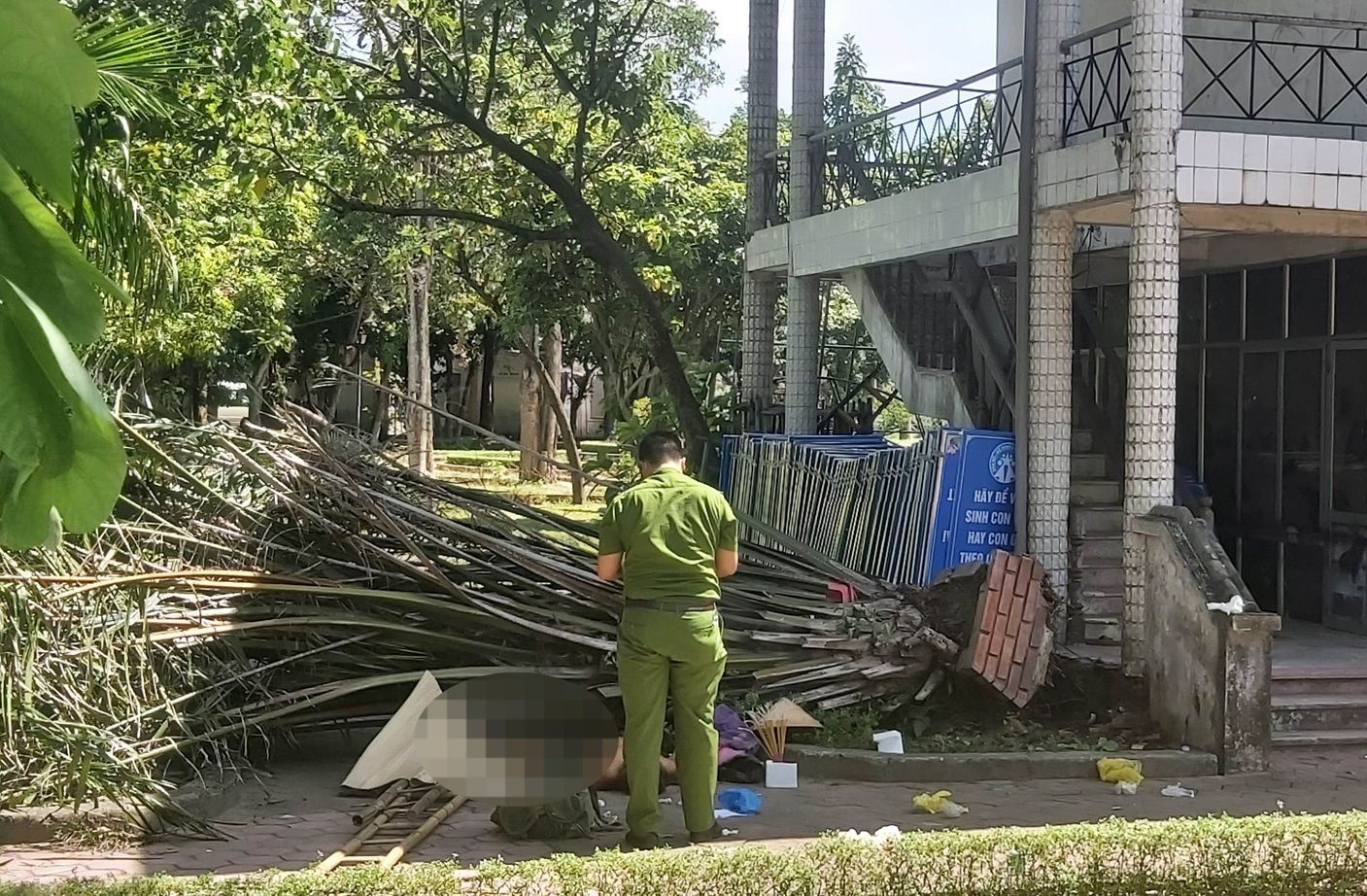 ngoi trong cong vien nghi trua cu ong bi cay de dan den tu vong ngoi trong cong vien nghi trua cu ong bi cay de dan den tu vong