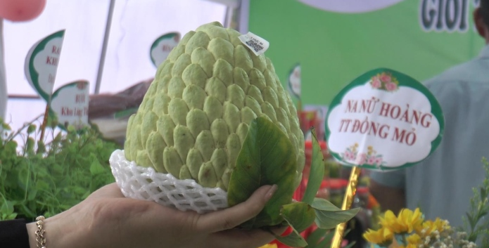 can canh qua na dai o lang son duoc dau gia 89 trieu dong 3