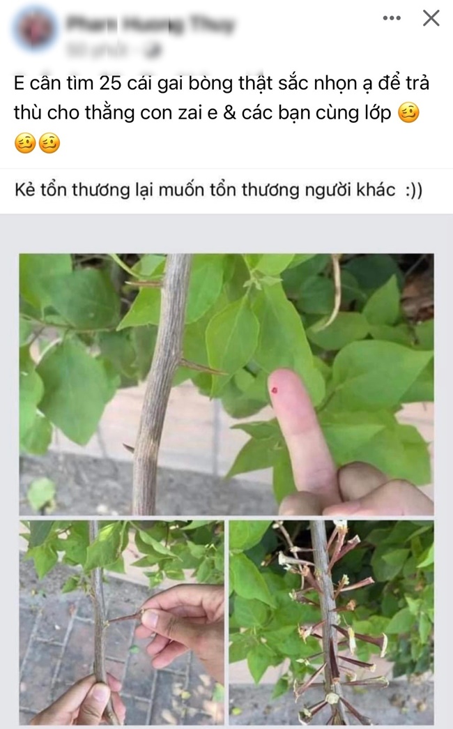 vu co giao mam non lay gai buoi cham vao hoc sinh cong an thai binh vao cuoc xac minh vu co giao mam non lay gai buoi cham vao hoc sinh cong an thai binh vao cuoc xac minh