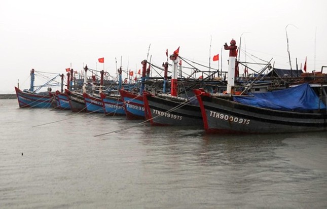 tt hue ban phao hieu keu goi tau thuyen ve noi an toan tranh bao noru