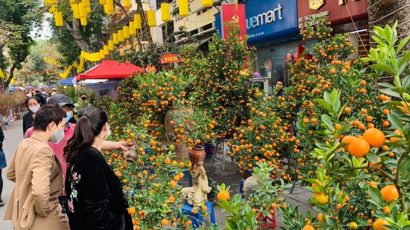 ha noi nhung tuyen duong nao bi cam de phuc vu cho hoa tet quy mao 2023 ha noi nhung tuyen duong nao bi cam de phuc vu cho hoa tet quy mao 2023