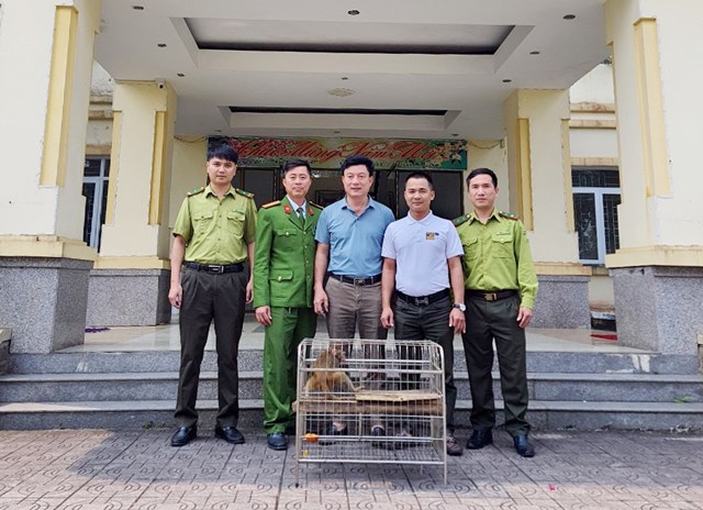 thanh nien bo tien mua khi vang quy hiem ban giao cho vuon quoc gia thanh nien bo tien mua khi vang quy hiem ban giao cho vuon quoc gia
