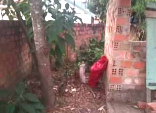 phat hien thi the be trai so sinh bi bo trong bao tai de sau vuon nha dan phat hien thi the be trai so sinh bi bo trong bao tai de sau vuon nha dan