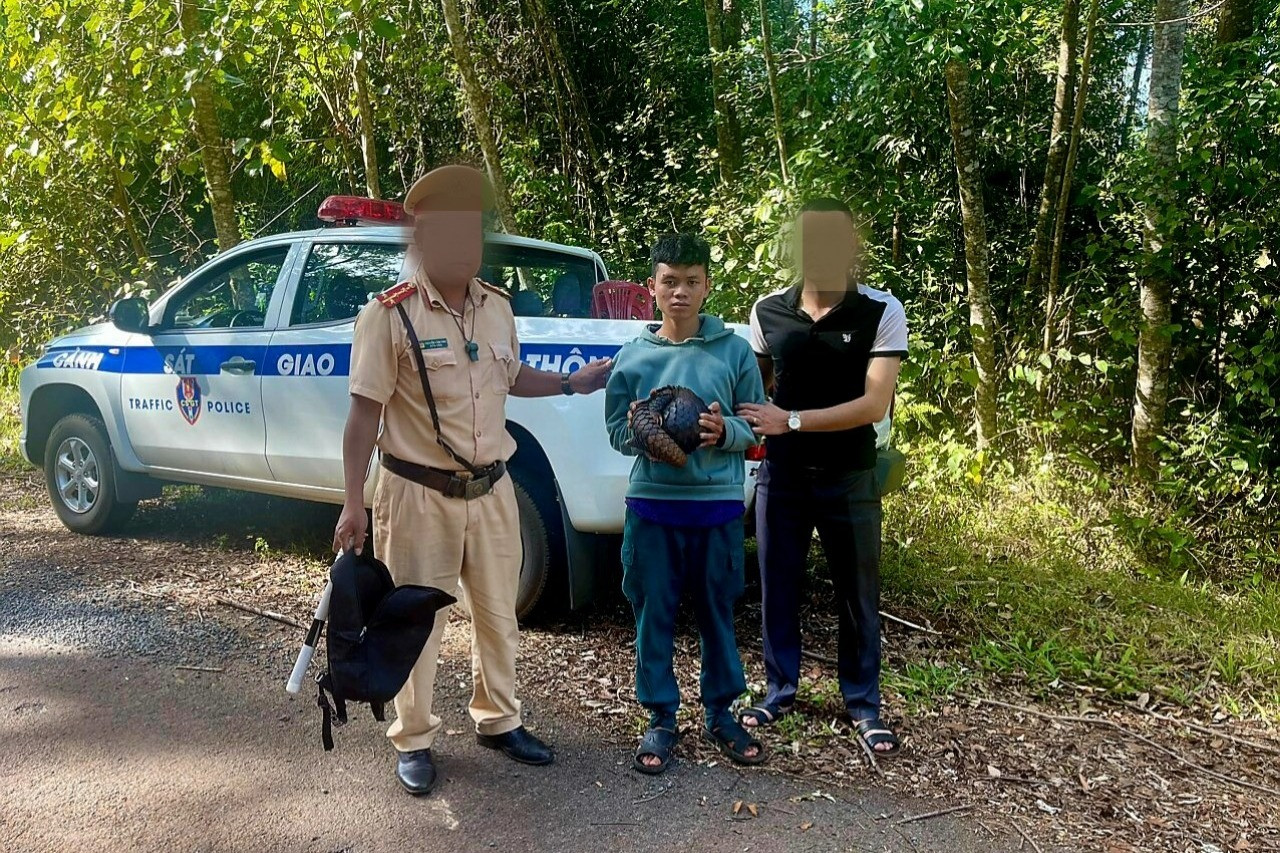 tam giam 3 doi tuong van chuyen te te trai phep tam giam 3 doi tuong van chuyen te te trai phep