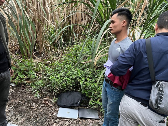 ra tu hon 10 ngay ke mang biet danh meo den lai ngua quen duong cu