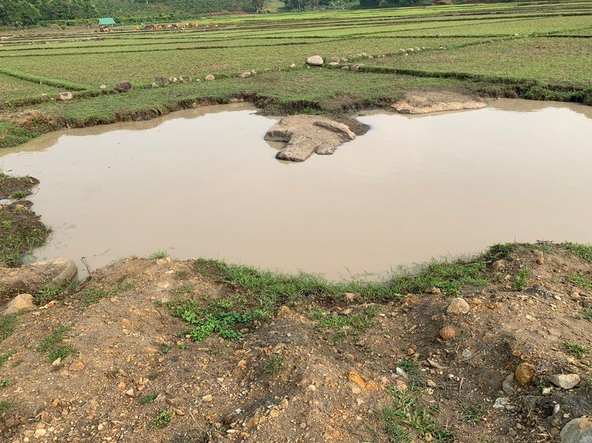 ru nhau ra vung nuoc gan canh dong de tam hai em nho duoi nuoc thuong tam ru nhau ra vung nuoc gan canh dong de tam hai em nho duoi nuoc thuong tam