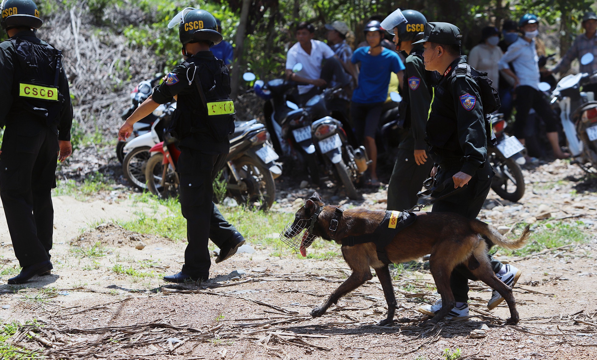 vu 3 nguoi phu nu bi giet o khanh hoa huy dong cho nghiep vu truy bat nghi pham dspl 5