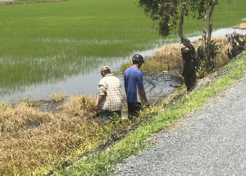 vu di xe dap tu te xuong ruong tu vong nan nhan nghien ma tuy co tien su benh than kinh vu di xe dap tu te xuong ruong tu vong nan nhan nghien ma tuy co tien su benh than kinh