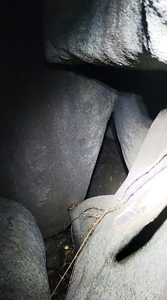 vu sat hai 3 phu nu o khanh hoa lanh nguoi loi khai cua phan danh hung2 vu sat hai 3 phu nu o khanh hoa lanh nguoi loi khai cua phan danh hung2