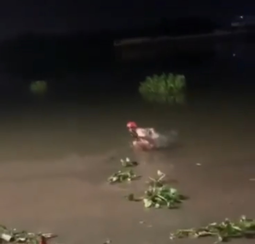 hai thanh nien dung cam lao xuong song cuu me con nguoi nuoc ngoai bi duoi nuoc hai thanh nien dung cam lao xuong song cuu me con nguoi nuoc ngoai bi duoi nuoc