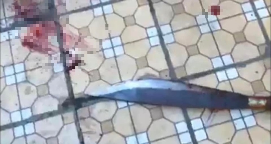 dong nai an mang kinh hoang nghi pham dam chet 3 nguoi roi tu sat