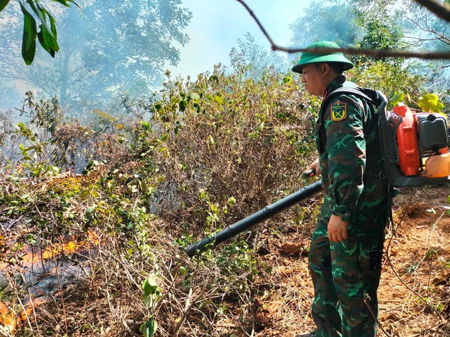chay rung thong o nghe an hang chuc ha rung chim trong bien lua 400 nguoi dap lua 6 chay rung thong o nghe an hang chuc ha rung chim trong bien lua 400 nguoi dap lua 6