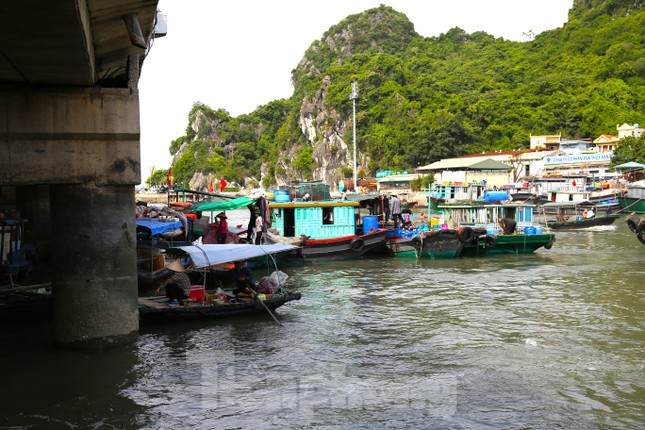 quang ninh bat dau cam bien tren 1000 nguoi ung truc chong bao1