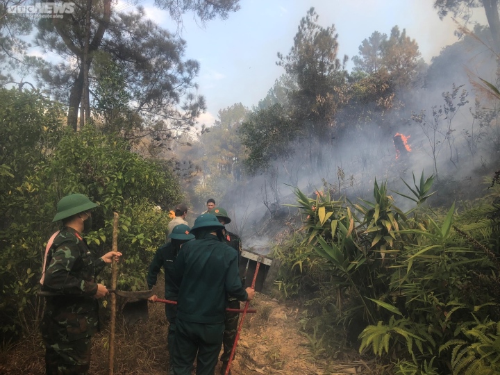 thua thien hue rung thong duoi duong day dien cao the chay du doi 21