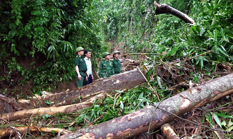 ha tinh nhanh chong trien khai luc luong ung cuu sat lo dat tai lao ha tinh nhanh chong trien khai luc luong ung cuu sat lo dat tai lao