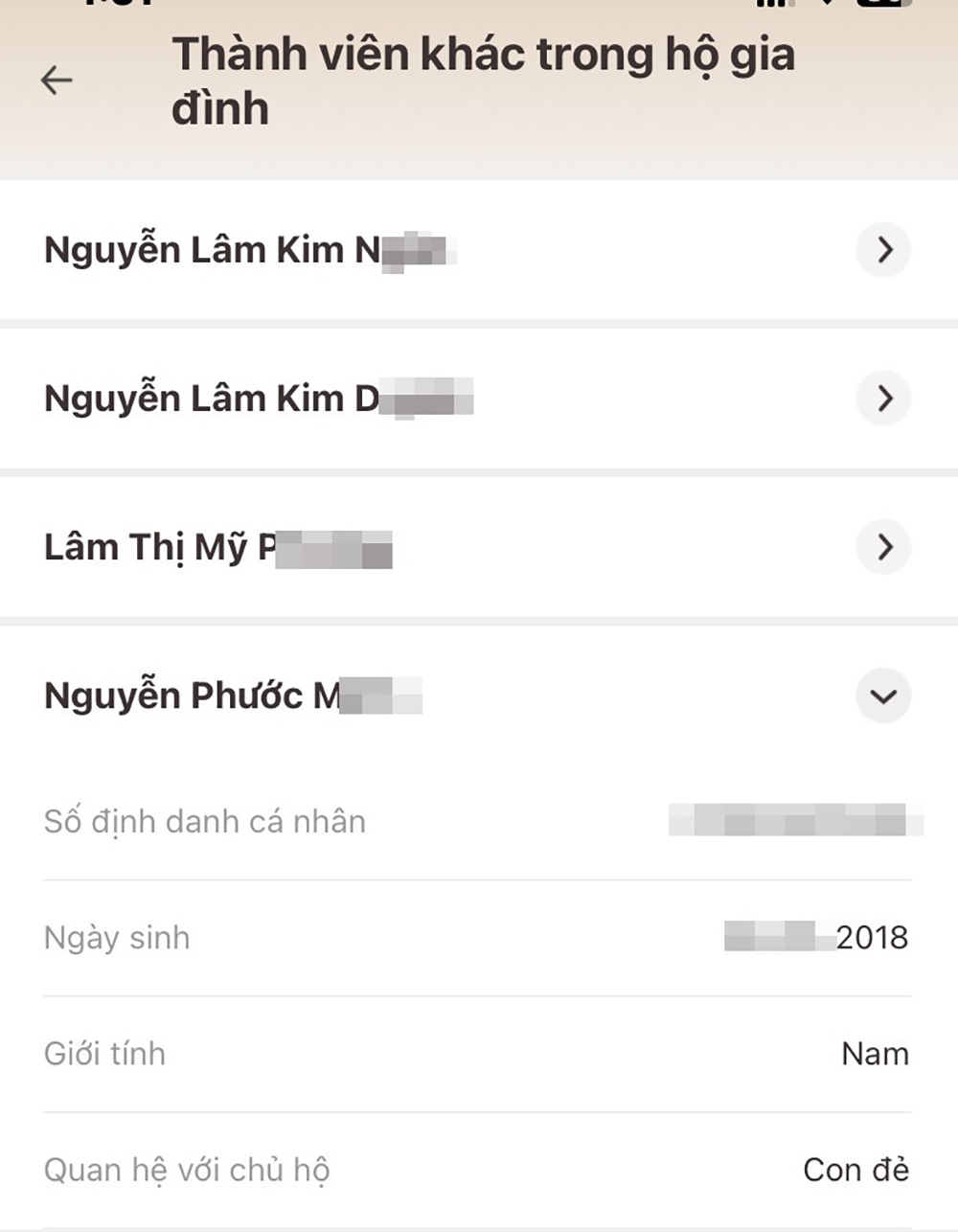 chu ho ta hoa co them con trai khi kich hoat tai khoan dinh danh tren vneid dspl 2