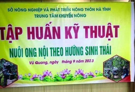 thuc hu ve tam bang ron nuoi ong noi theo huong sinh thai xon xao o ha tinh2 thuc hu ve tam bang ron nuoi ong noi theo huong sinh thai xon xao o ha tinh2