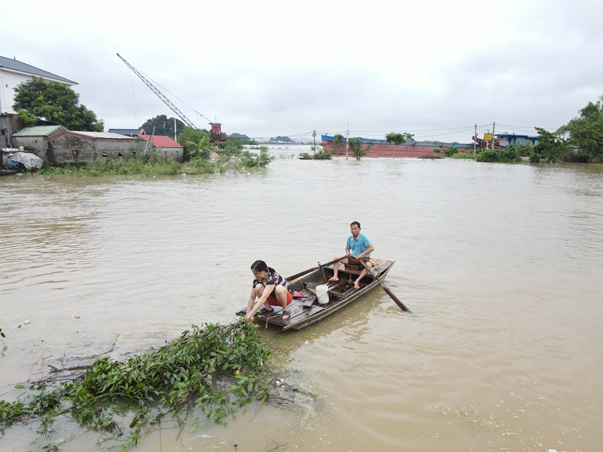 ninh binh nuoc song hoang long dang cao hang tram ho dan bi ngap lut 3 ninh binh nuoc song hoang long dang cao hang tram ho dan bi ngap lut 3