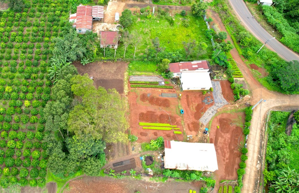 gia lai thu hoi hon 16000 m2 dat rung lan chiem cua cuu truong ban quan ly rung phong ho gia lai thu hoi hon 16000 m2 dat rung lan chiem cua cuu truong ban quan ly rung phong ho