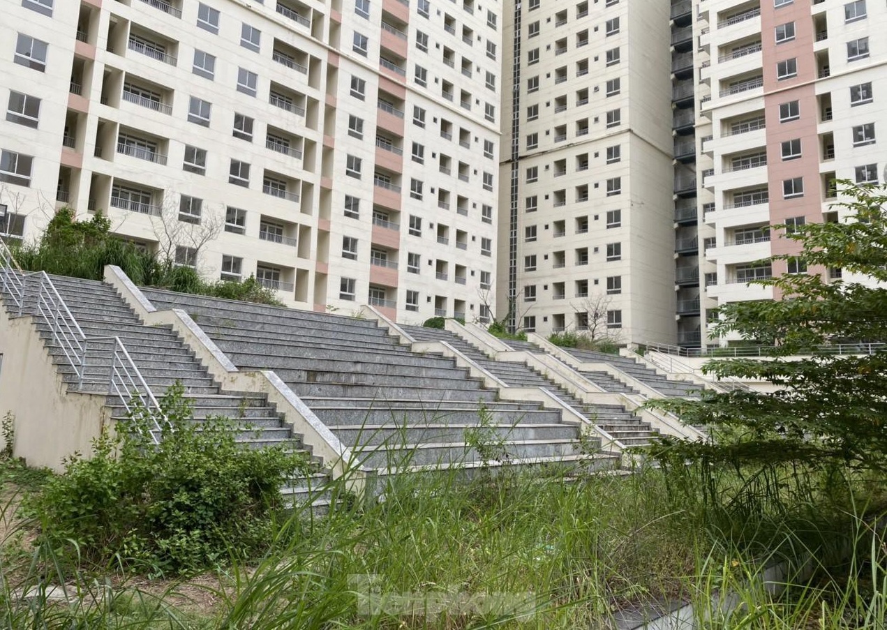 tp hcm dau gia 3790 can ho tai dinh cu e am tai khu do thi moi thu thiem dspl tp hcm dau gia 3790 can ho tai dinh cu e am tai khu do thi moi thu thiem dspl