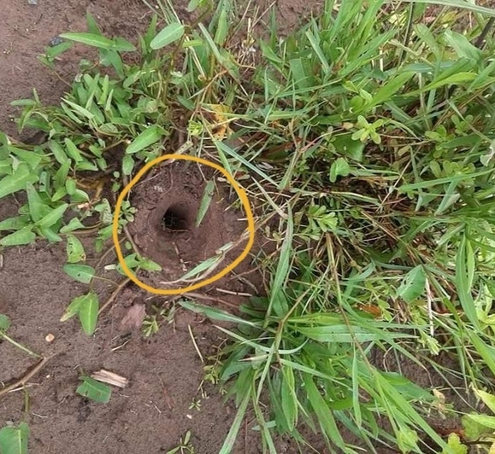 hang tram ngoi mo bi duc lo o thai binh dspl hang tram ngoi mo bi duc lo o thai binh dspl