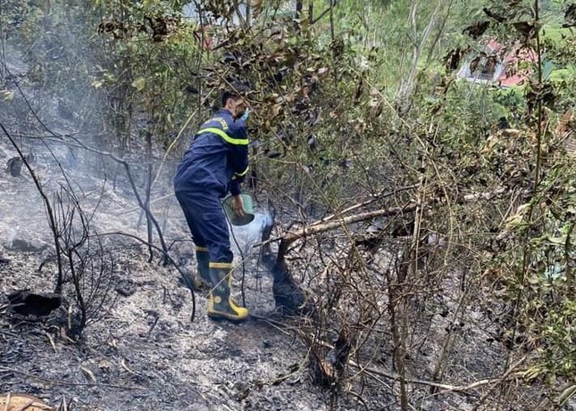 vut tan thuoc la bua bai nguoi dan ong khien rung phong ho chay tro trui dsplpl vut tan thuoc la bua bai nguoi dan ong khien rung phong ho chay tro trui dsplpl