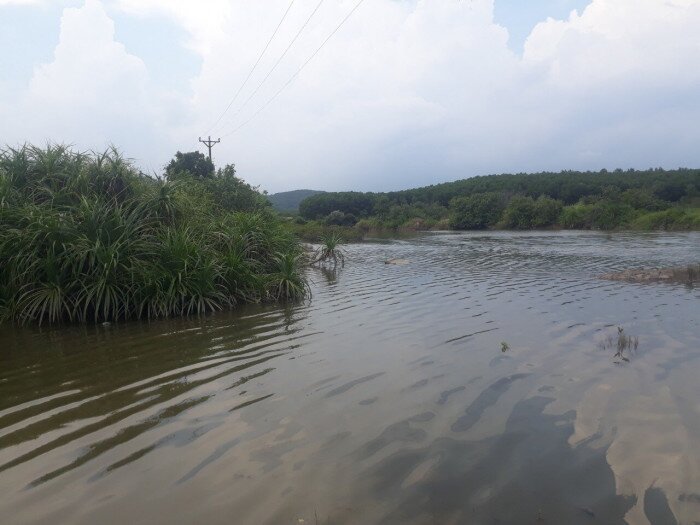 nguoi dan ong tu vong trong dam nuoi ca cua chau ho he lo nguyen nhan tu vong dspl